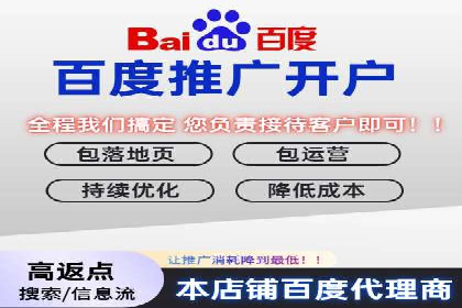 Sem优化公司成功案例：快速占领市场